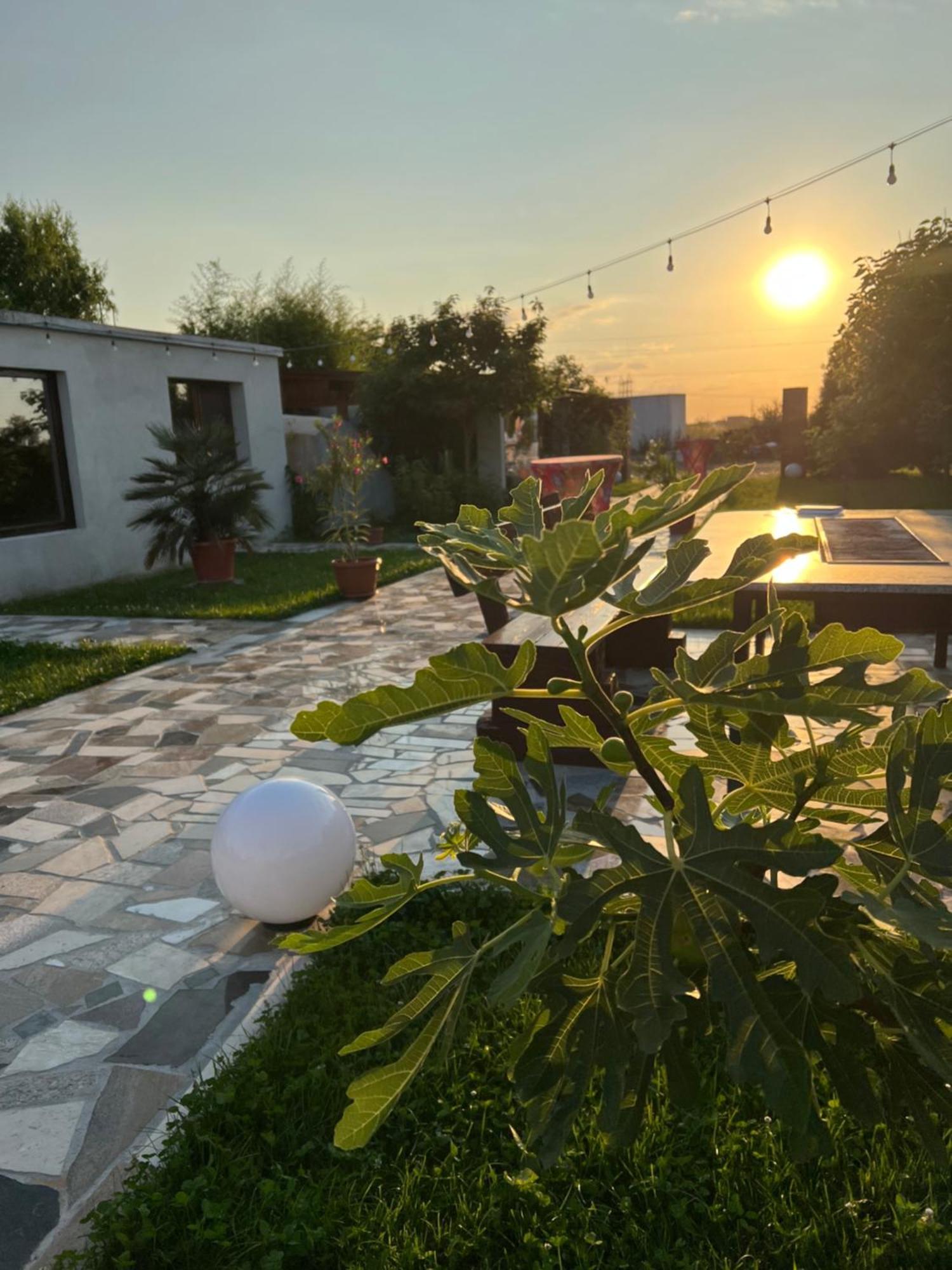 La Casa Blanca Apartment Vladimirescu Exterior photo